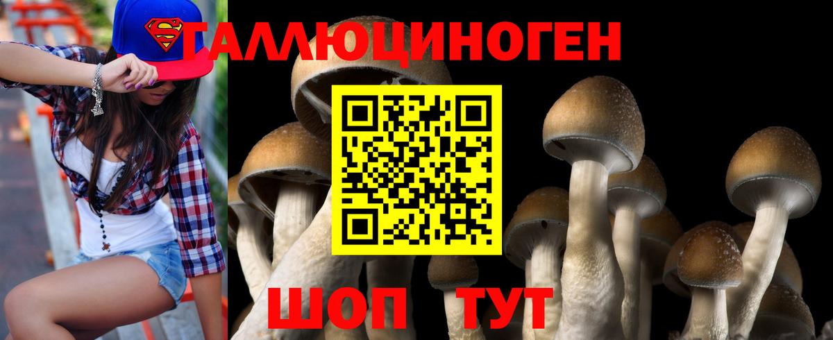 Галлюциногенные грибы MAGIC MUSHROOMS Урус-Мартан